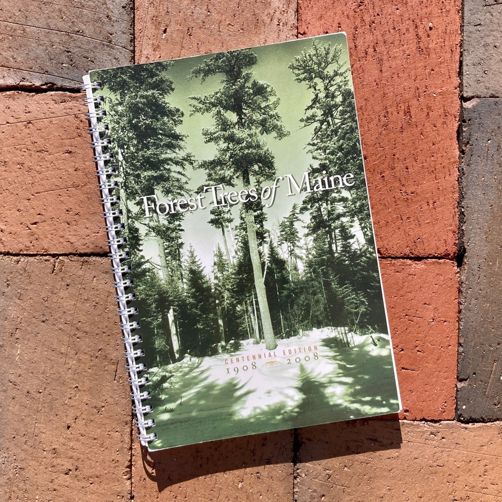 Forest Trees of Maine 1908-2008 Centennial Edition Forestry Field Guide Plant
